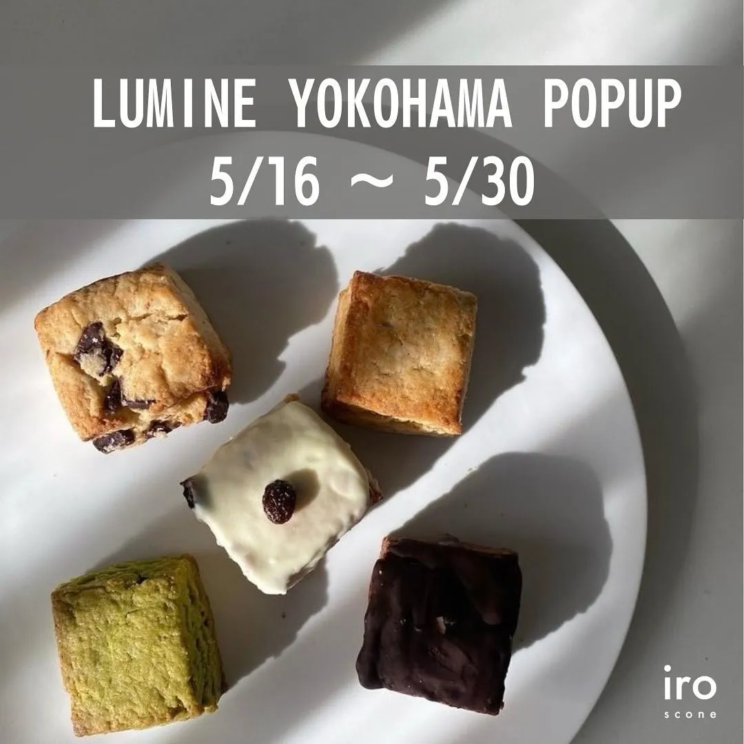 【 LUMINE YOKOHAMA POPUP!! 】